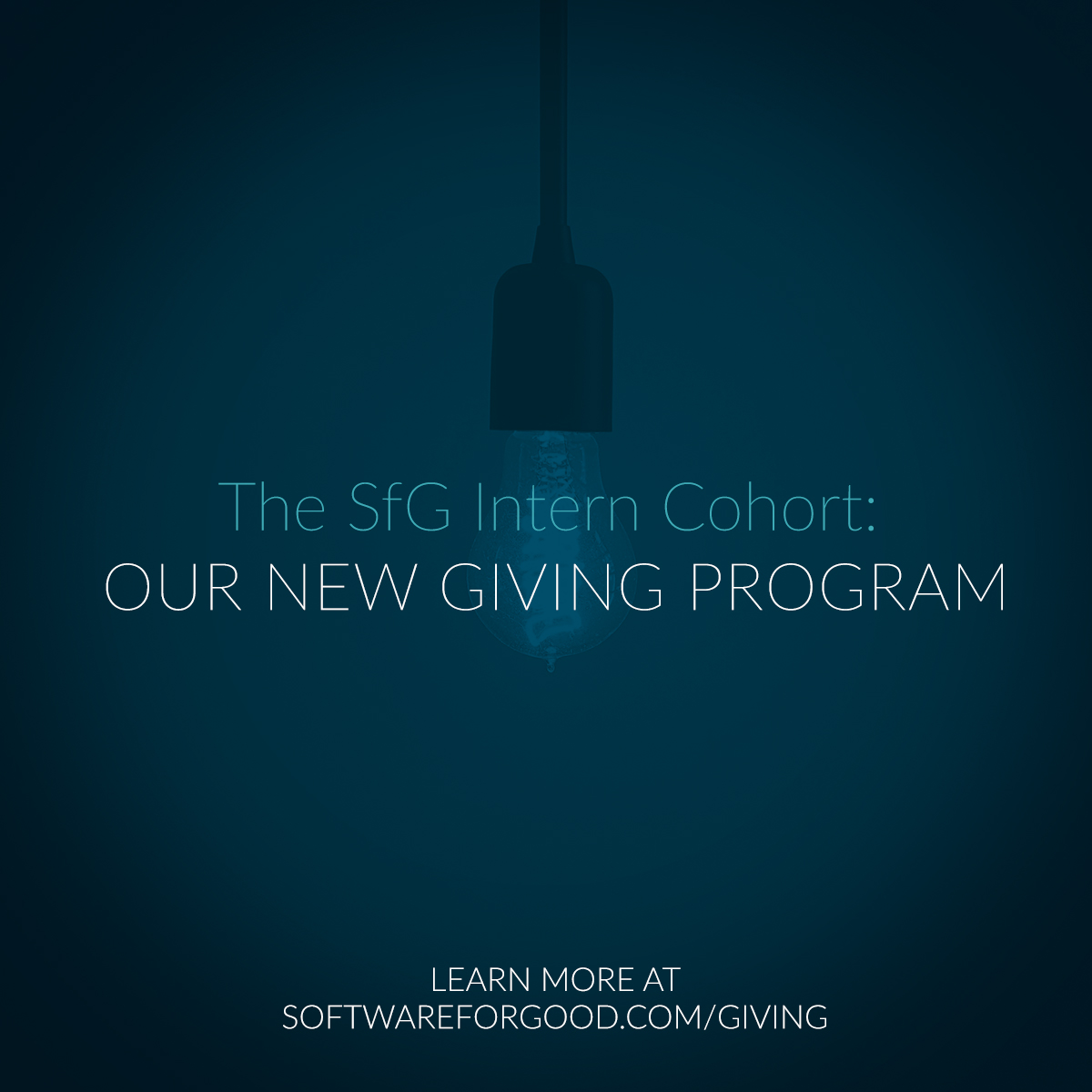 sfg intern program